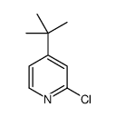 4-叔丁基-2-氯-吡啶